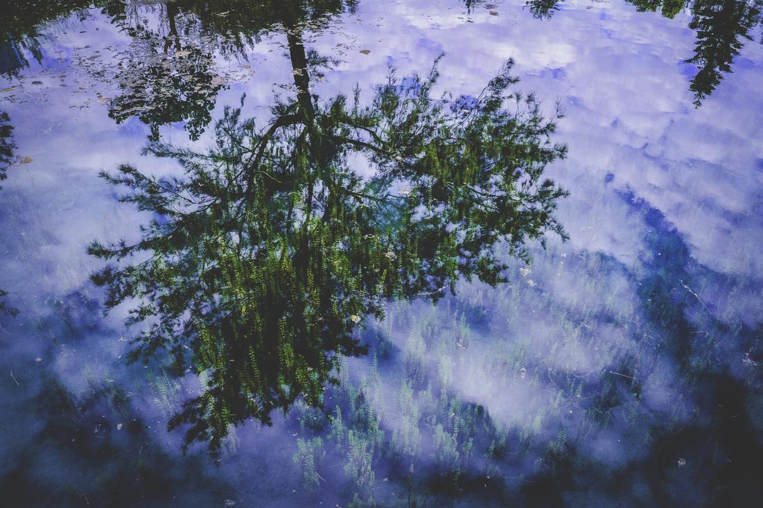 Atque numquam laudantium id et sed eligendi