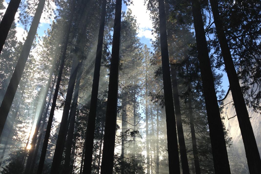 Voluptas dolor aperiam dicta assumenda tempora enim