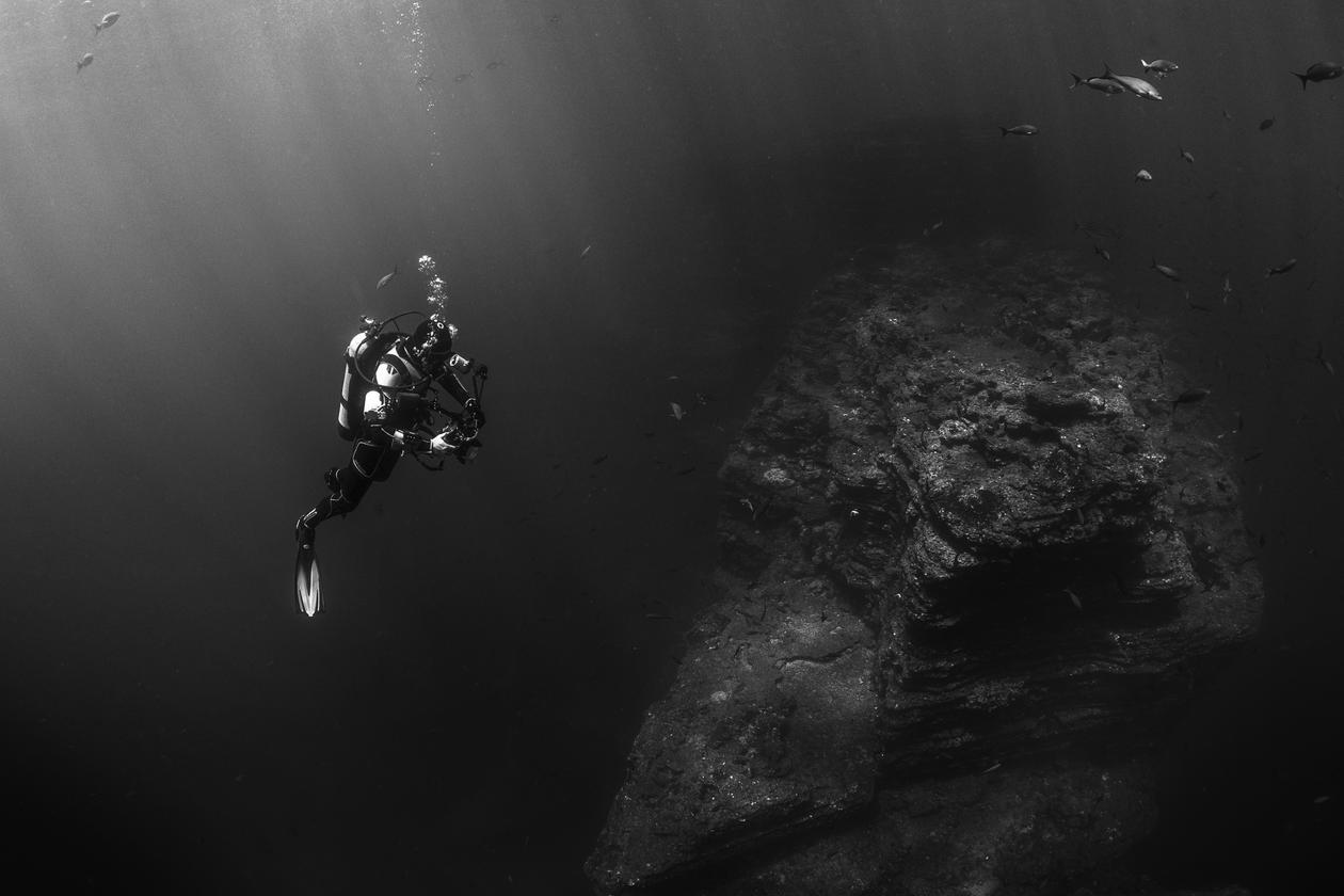 Dolorem ipsum pariatur saepe quaerat consequuntur