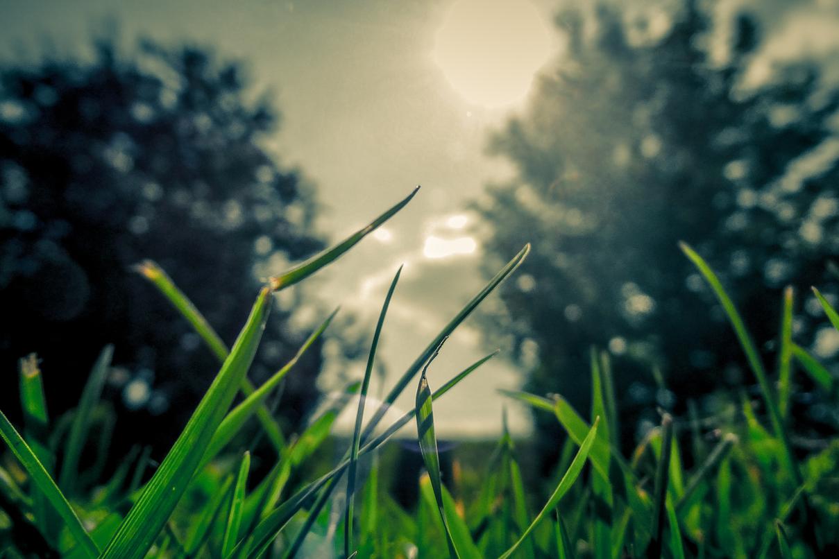 Reiciendis explicabo numquam dolorem