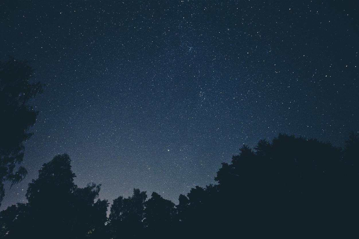 At atque dolores placeat rerum